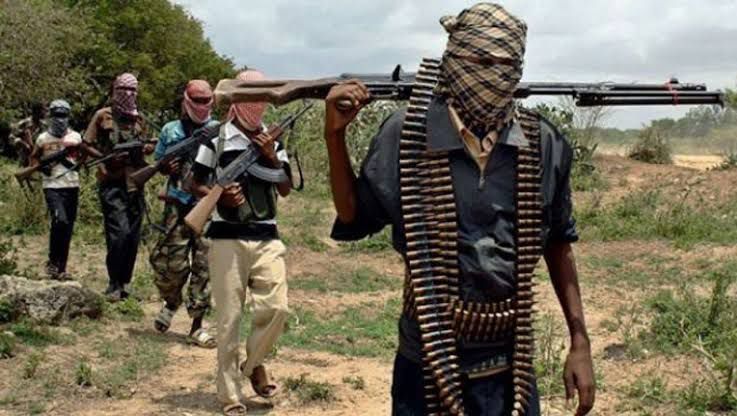 Tragedy on the Road to Yola: Six Nigerian Law School Students Kidnapped, ₦120 Million Ransom Demanded